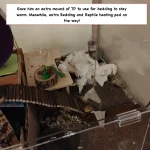 added toleit p for extra bedding.webp