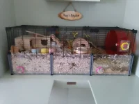 KAGE'S KINGDOM - READY AND WAITING.webp