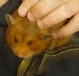 Messenger_creation_2A130B1F-1550-4E44-A9C4-9FB090E4FF92_edit_1768125063907.webp Messenger_creation_2A130B1F-1550-4E44-A9C4-9FB090E4FF92_edit_1768125063907.webp