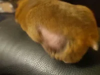 Messenger_creation_4C09EECB-A321-4DE9-8B54-CC5C929568A4_edit_1768124941519.webp Messenger_creation_4C09EECB-A321-4DE9-8B54-CC5C929568A4_edit_1768124941519.webp