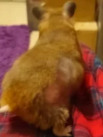 Messenger_creation_BED6FA18-5473-432F-9BA0-255D60DA99AA_edit_1768124871699.webp Messenger_creation_BED6FA18-5473-432F-9BA0-255D60DA99AA_edit_1768124871699.webp