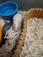 20260110_170821.webp 20260110_170821.webp