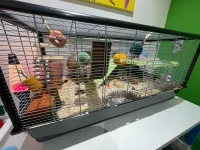 IMG_9283.webp IMG_9283.webp