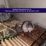 1000001487.webp 1000001487.webp