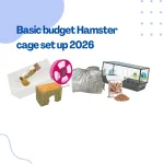 Hamster cage set up on a budget