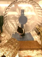 IMG_9948.webp IMG_9948.webp