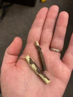 image.webp image.webp