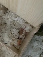 IMG_0063.webp IMG_0063.webp