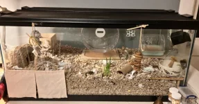 Screenshot 2026-02-09 190317.webp