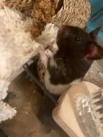 IMG_0129.webp IMG_0129.webp