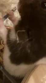 IMG_0134.webp IMG_0134.webp