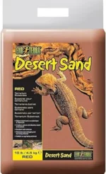 IMG_20260223_165344.webp IMG_20260223_165344.webp