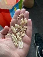 IMG_0336.webp IMG_0336.webp