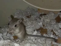 20240724-231418.webp 20240724-231418.webp