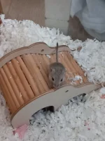 20240713-194605.webp 20240713-194605.webp