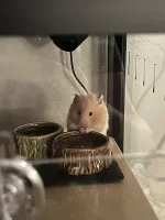 IMG_4782.webp IMG_4782.webp