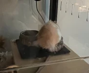 IMG_4792.webp IMG_4792.webp