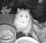 IMG_4788.webp IMG_4788.webp