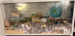 IMG_2755.webp IMG_2755.webp