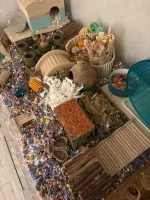 IMG_2700.webp IMG_2700.webp