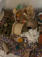 IMG_2702.webp IMG_2702.webp