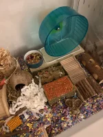 IMG_2703.webp IMG_2703.webp