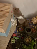 IMG_2759.webp IMG_2759.webp