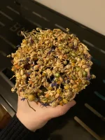 IMG_0482.webp IMG_0482.webp