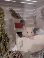 PXL_20260321_220509411.webp PXL_20260321_220509411.webp