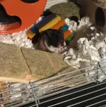 IMG_0762 cropped 500.webp