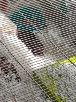 IMG_20260401_113825779.webp IMG_20260401_113825779.webp