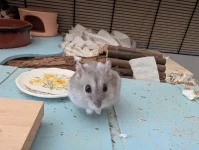 PXL_20260402_080310364.webp PXL_20260402_080310364.webp