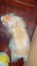 IMG_2834.webp IMG_2834.webp