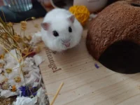 photo_2026-02-09_17-32-00.webp photo_2026-02-09_17-32-00.webp