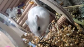 photo_2024-12-05_11-25-33.webp photo_2024-12-05_11-25-33.webp