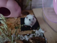 photo_2025-12-23_18-42-00.webp photo_2025-12-23_18-42-00.webp