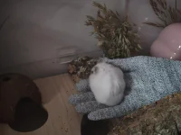 photo_2025-10-27_14-59-23.webp photo_2025-10-27_14-59-23.webp