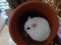 photo_2025-10-09_11-43-31.webp photo_2025-10-09_11-43-31.webp