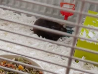 IMG_20260411_101924634.webp IMG_20260411_101924634.webp