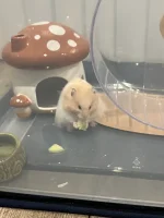 IMG_5030.webp IMG_5030.webp