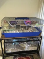 IMG_0933.webp IMG_0933.webp