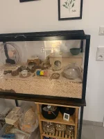 IMG_1146.webp IMG_1146.webp