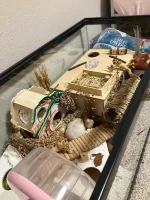 IMG_5753.webp IMG_5753.webp