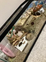 IMG_5752.webp IMG_5752.webp