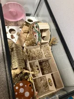 IMG_5741.webp IMG_5741.webp