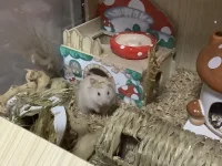 IMG_2989.webp IMG_2989.webp