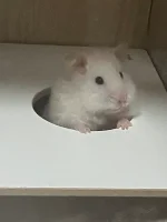 IMG_3780.webp IMG_3780.webp