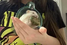 IMG_2638.webp IMG_2638.webp