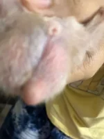 WhatsApp Image 2026-04-18 at 11.57.02 PM.webp