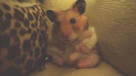 P4091167 resized 600.webp